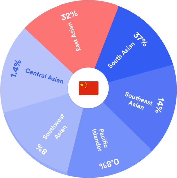 Static Pie Chart